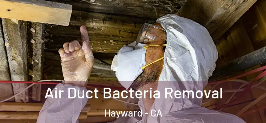 Air Duct Bacteria Removal Hayward - CA