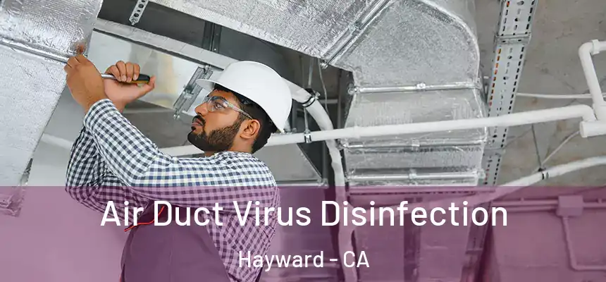 Air Duct Virus Disinfection Hayward - CA
