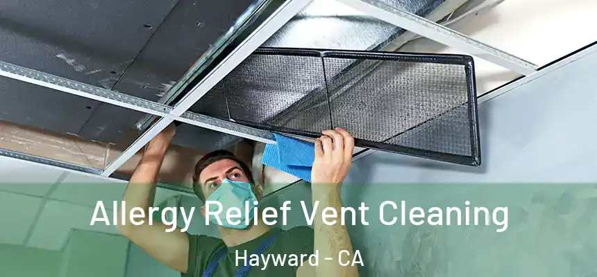 Allergy Relief Vent Cleaning Hayward - CA