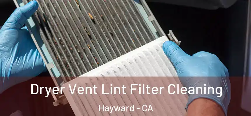 Dryer Vent Lint Filter Cleaning Hayward - CA