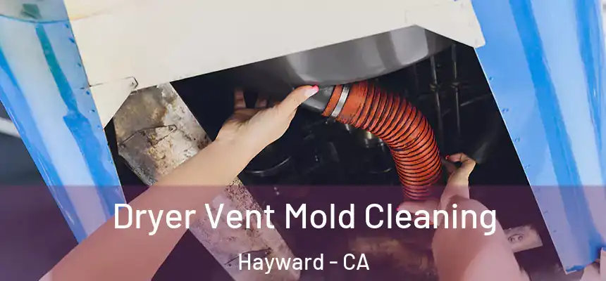 Dryer Vent Mold Cleaning Hayward - CA