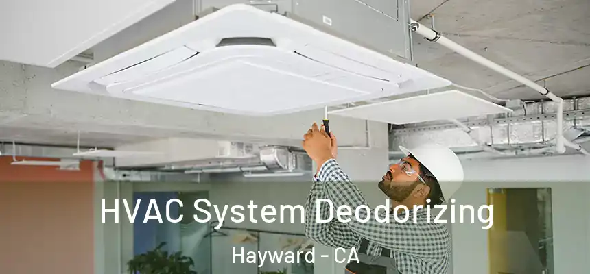 HVAC System Deodorizing Hayward - CA