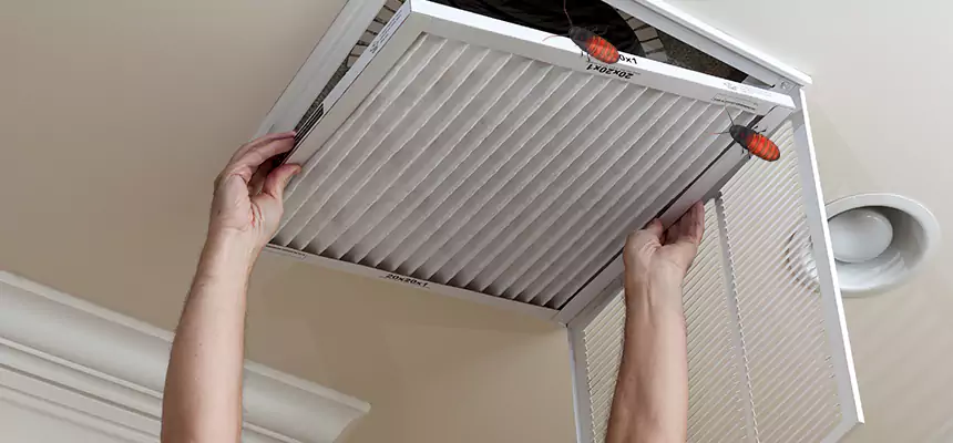 Preventive Cockroach-Proofing for Ducts in Hayward