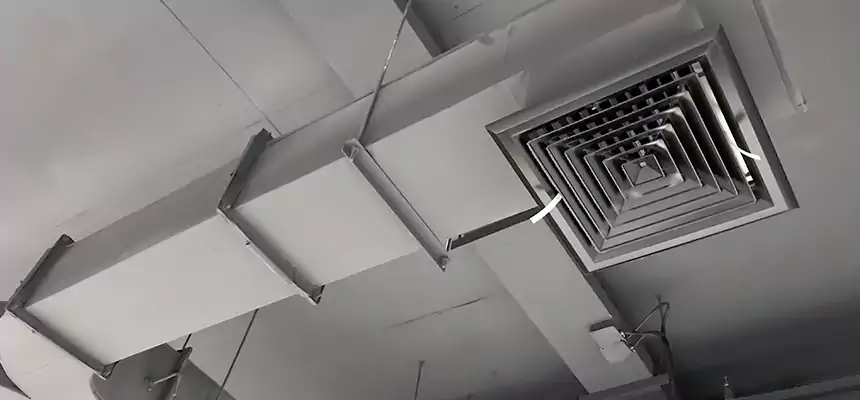 Restorative Allergy Relief Vent Cleaning – Coil, Blower & Housing Detail in Hayward