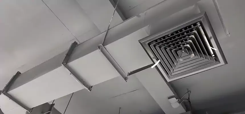 Our Pest Removal From Ducts Services in Hayward, CA