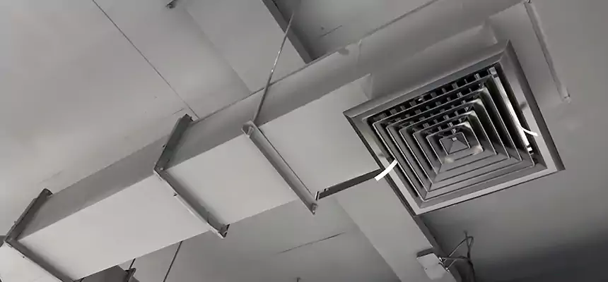 Our Rodent Droppings In Vents Services in Hayward, CA