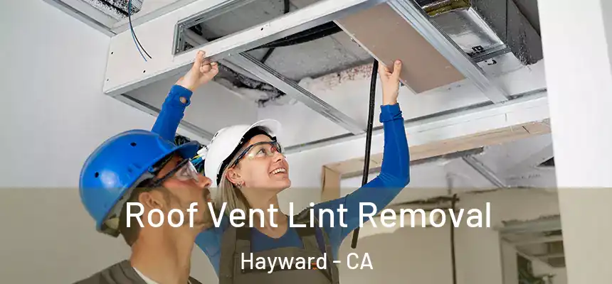 Roof Vent Lint Removal Hayward - CA
