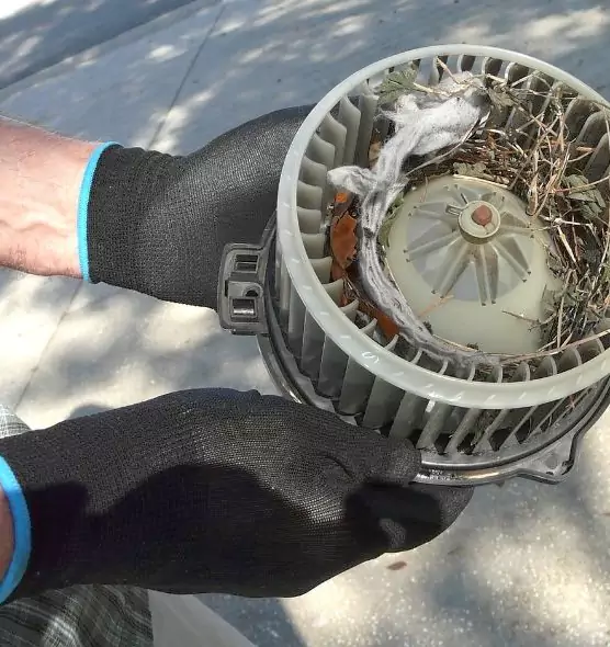 About Air Duct Mice Removal in Hayward, CA