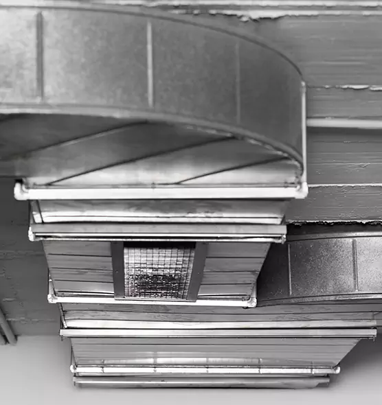 Professional Air Duct Pet Hair Removal in Hayward, CA