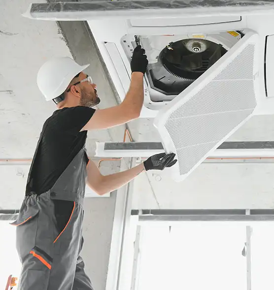 About Air Duct Rodent Removal in Hayward, CA