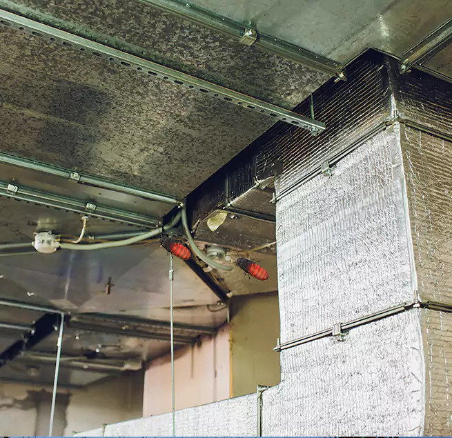 Why Homeowners & Businesses Trust Us in Hayward, CA?