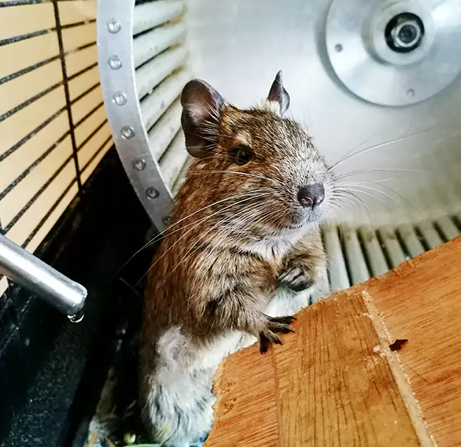 Why Homeowners & Businesses Trust Us Hayward, CA?