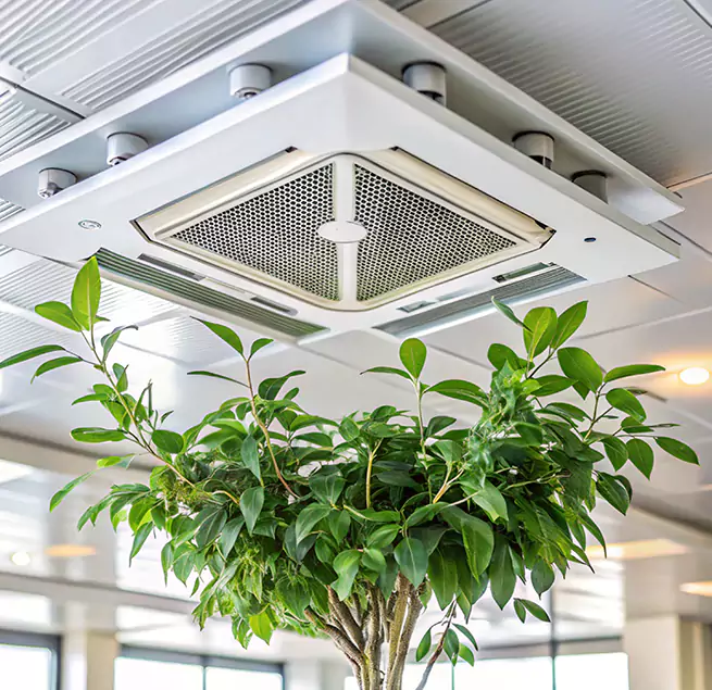 Why Homeowners & Businesses Trust Us in Hayward, CA?