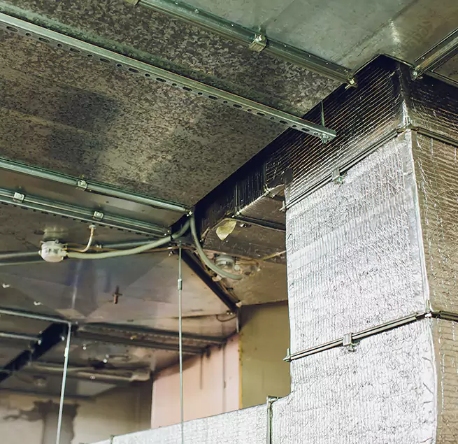 Why Homeowners & Businesses Trust Us in Hayward, CA?