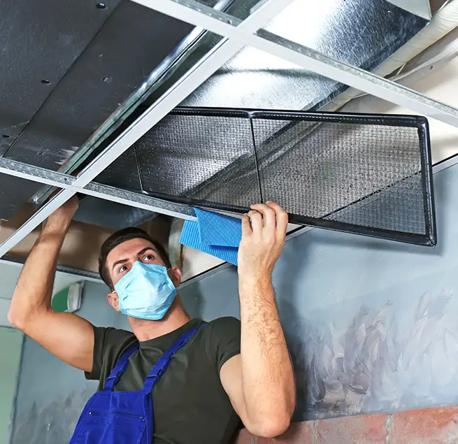 Why Homeowners & Businesses Trust Us in Hayward, CA?