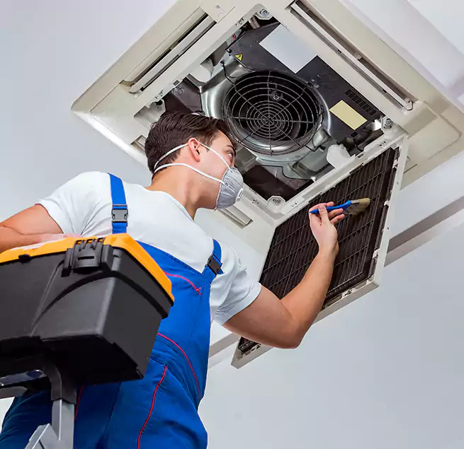 Why Homeowners & Businesses Trust Us in Hayward, CA?